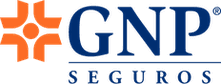 GNP